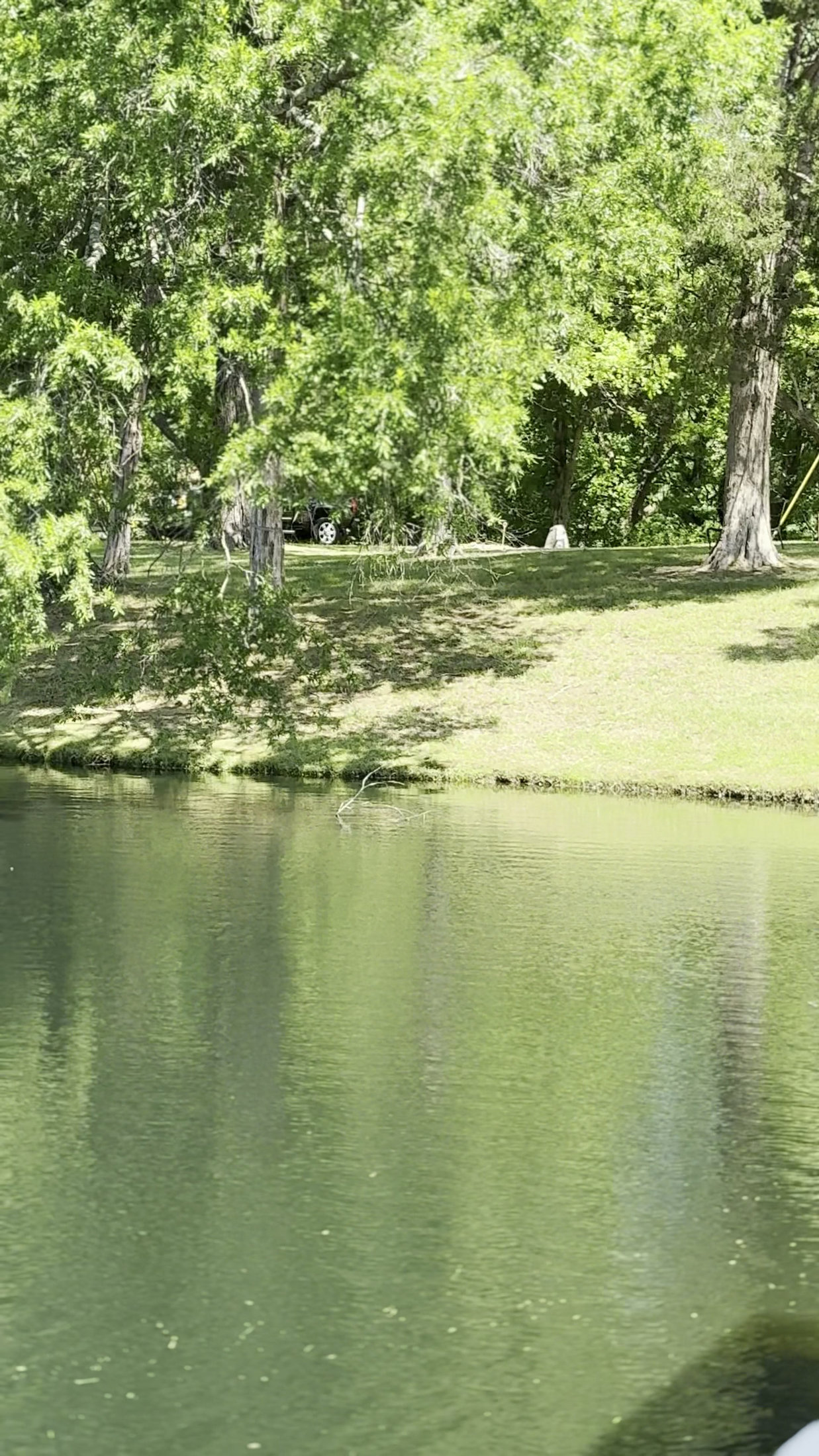 The pond